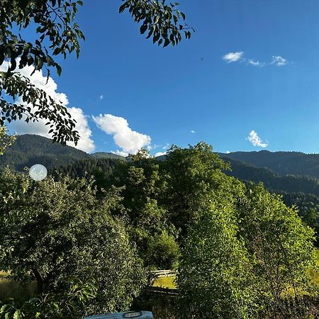 Ecohouse Svaneti Mestia Eksteriør billede