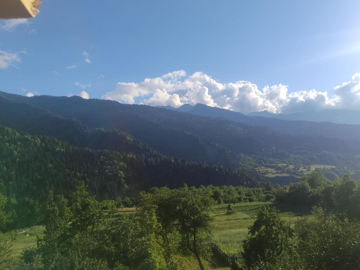 Ecohouse Svaneti Mestia Eksteriør billede