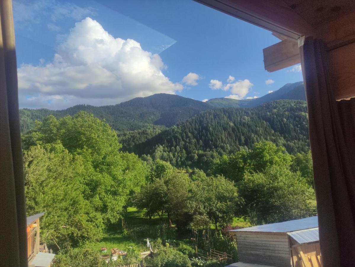 Ecohouse Svaneti Mestia Eksteriør billede