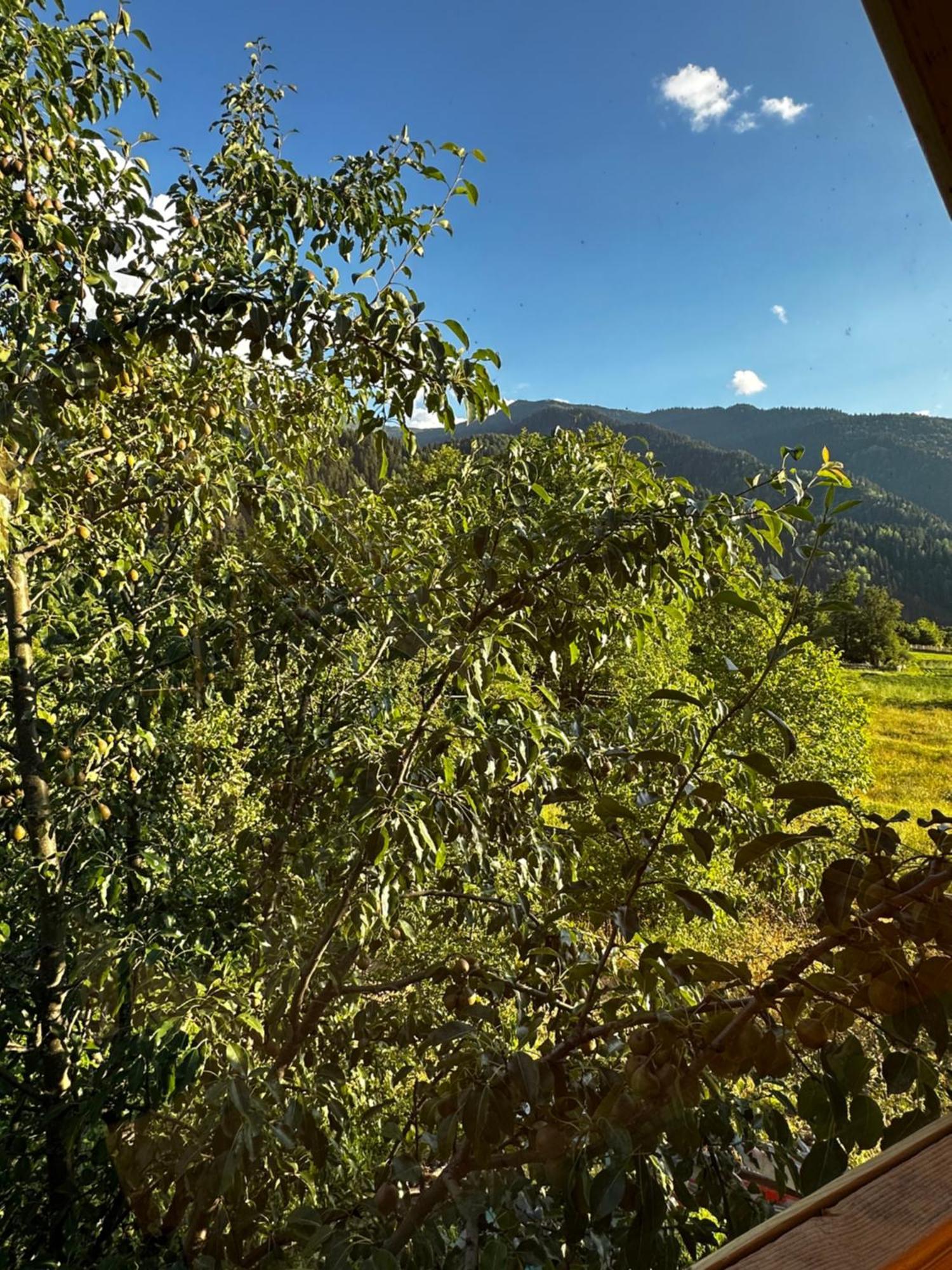 Ecohouse Svaneti Mestia Eksteriør billede