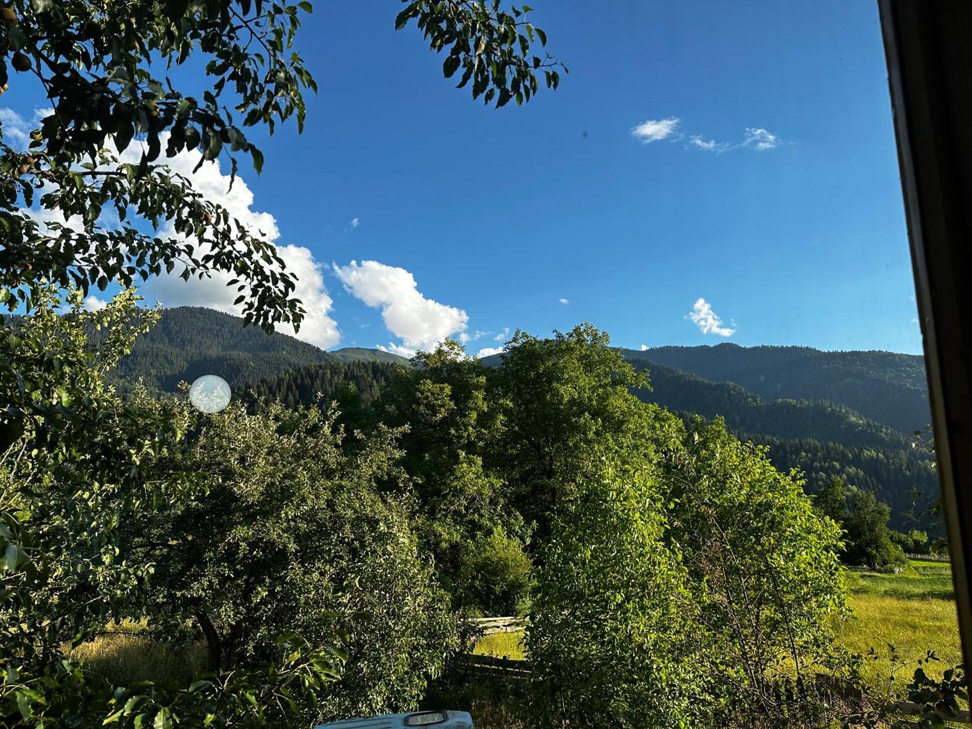 Ecohouse Svaneti Mestia Eksteriør billede