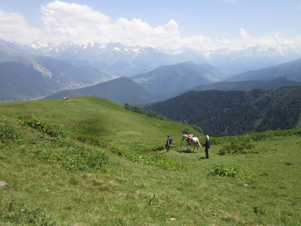 Ecohouse Svaneti Mestia Eksteriør billede