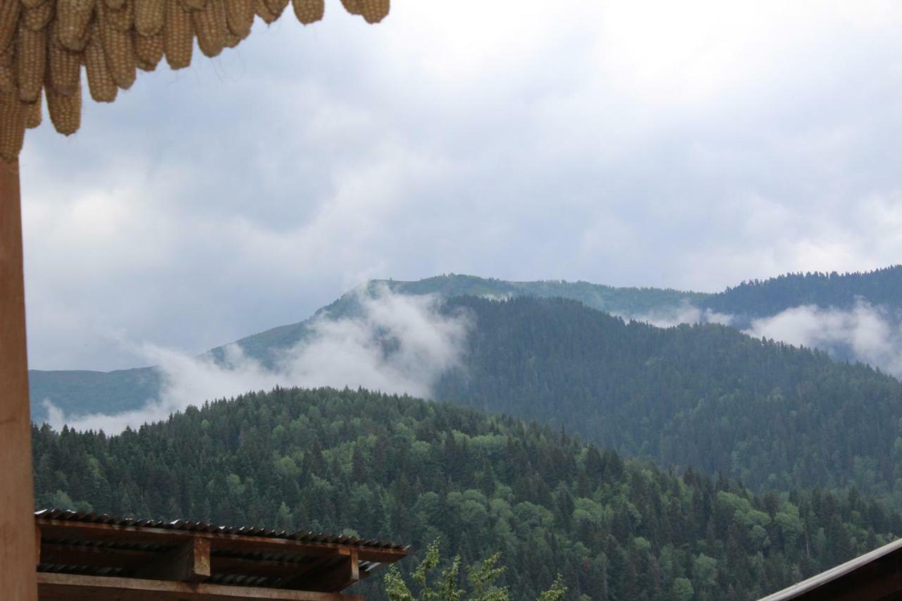 Ecohouse Svaneti Mestia Eksteriør billede